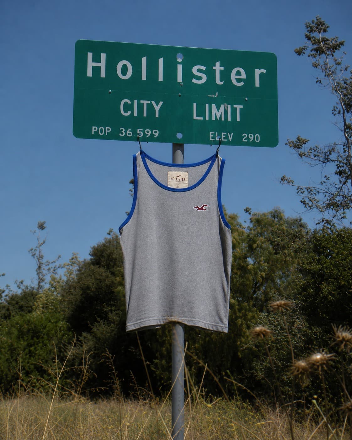 Blusa Hollister California