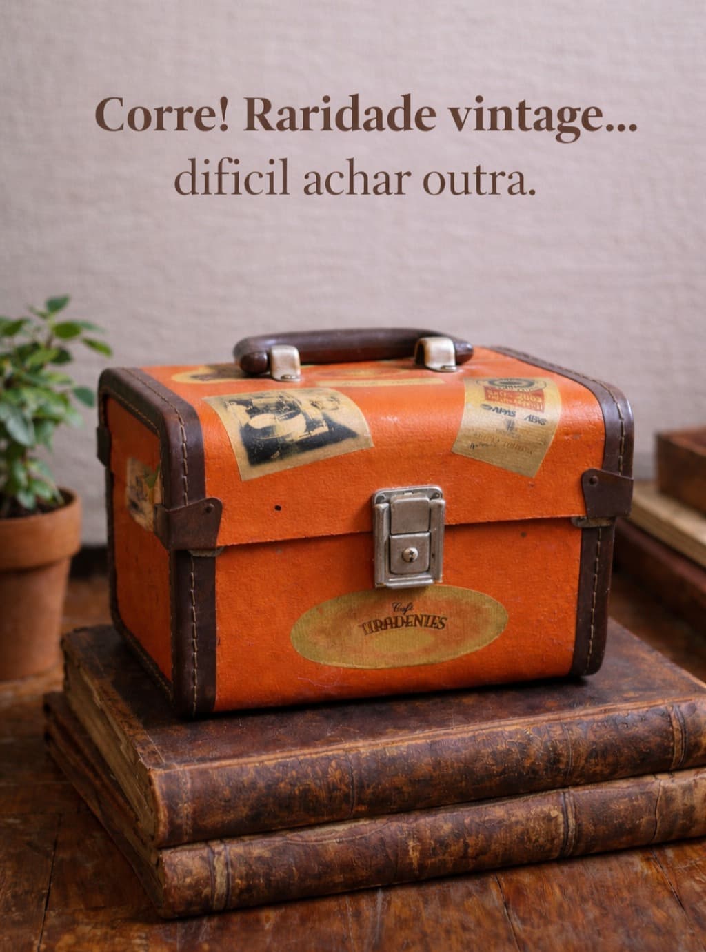 Maleta Vintage